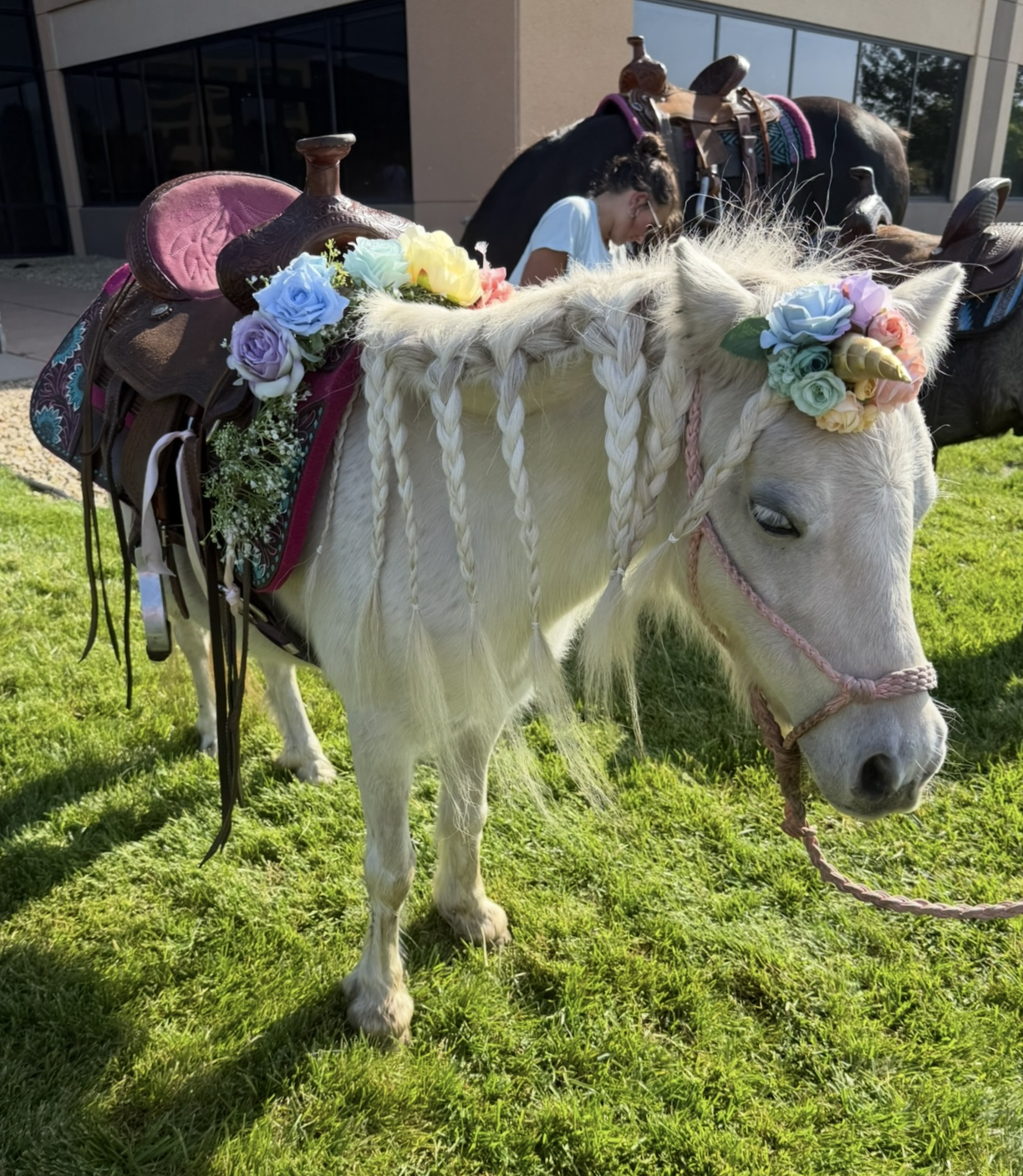 Tinkerbell, the star pony of Pony Parties Express