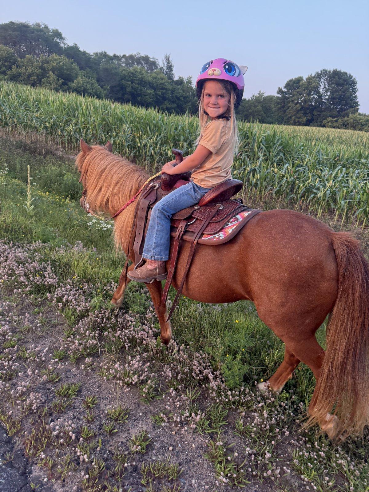 A girl in a pink cat-face riding helmet sits on a chestnut pony in a wildflower field.