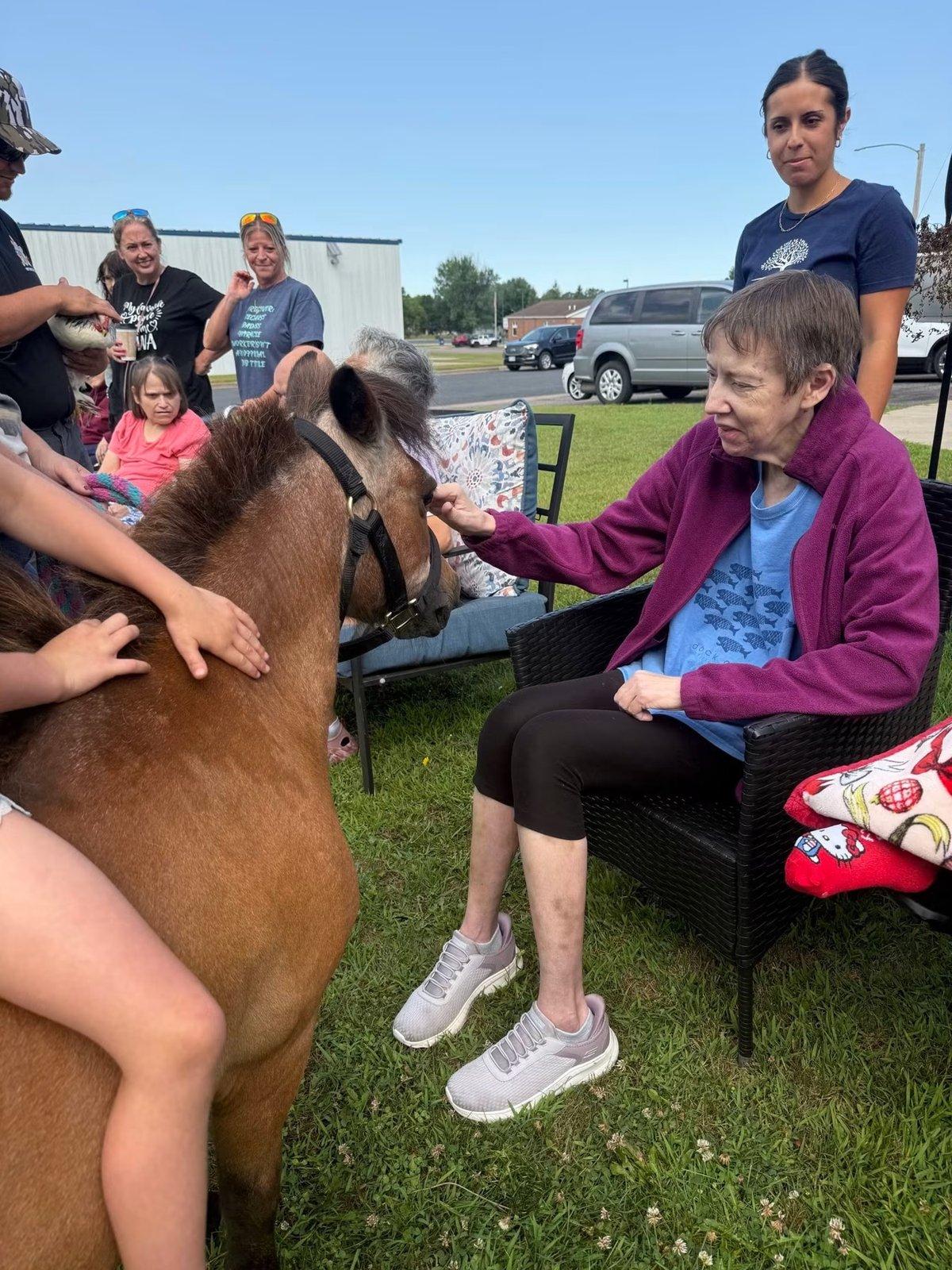 A seated woman reaches out to touch a pony's face as a small group looks on.