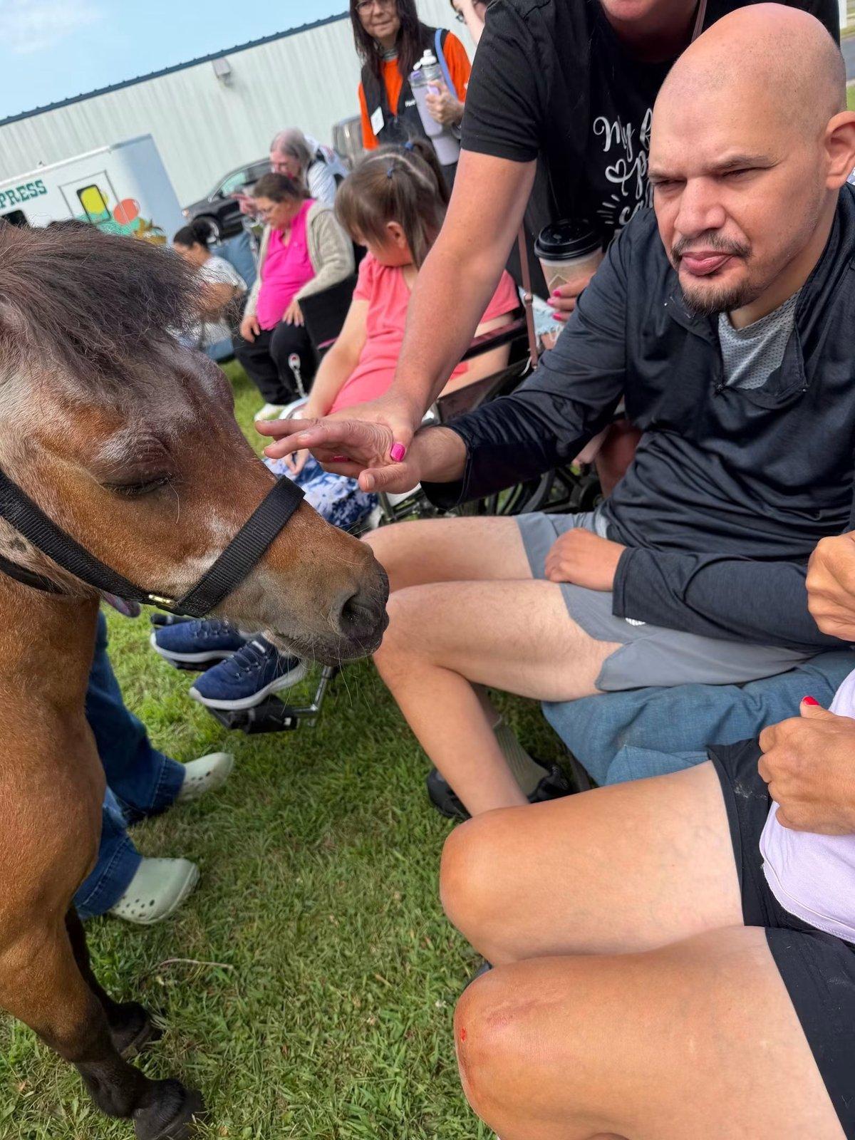 A pony reaches toward a woman's outstretched hand as onlookers smile.