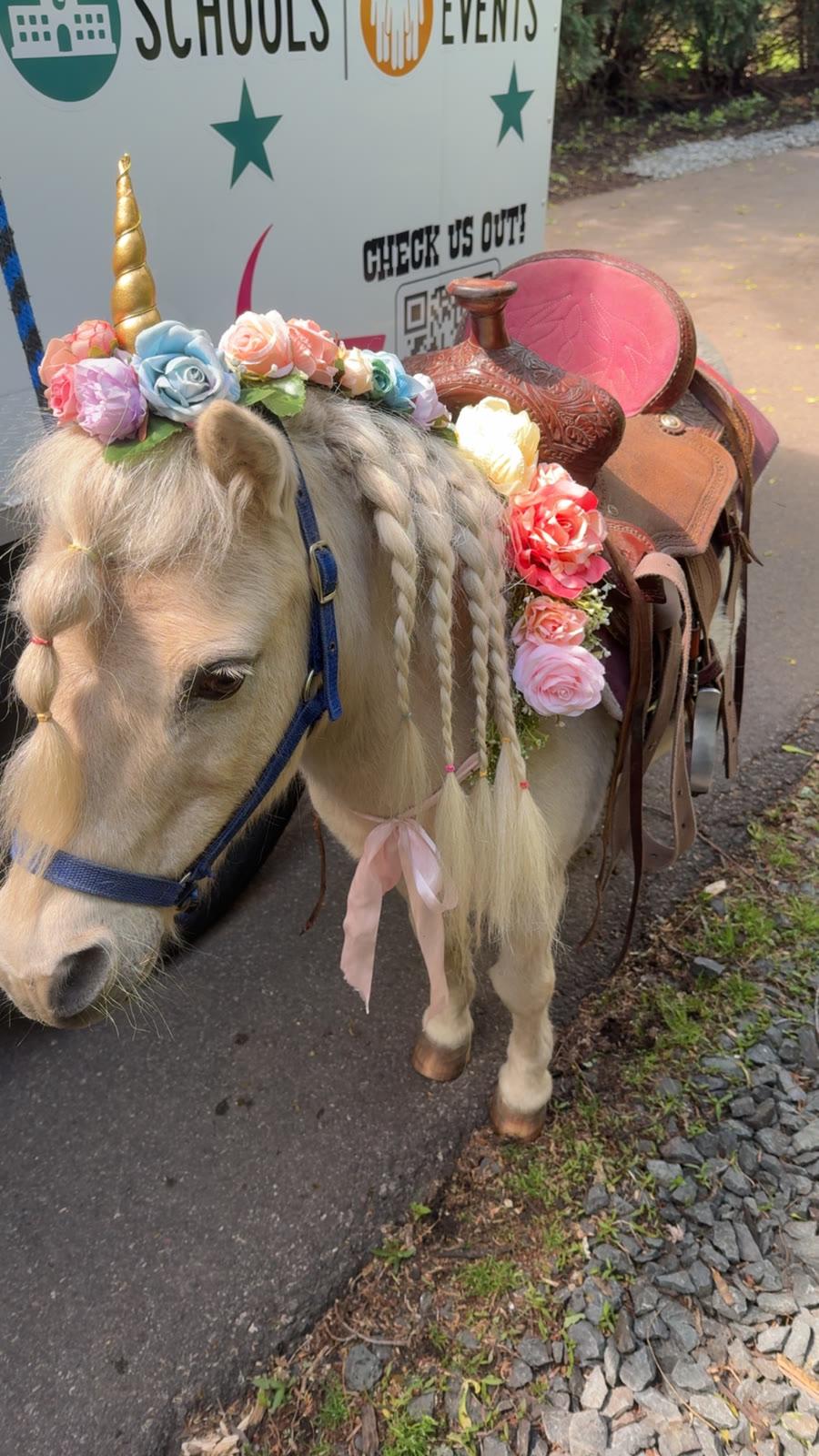 Close-up of a cream-colored pony wearing a flower-and-horn headpiece and a saddle, standing beside the business trailer.