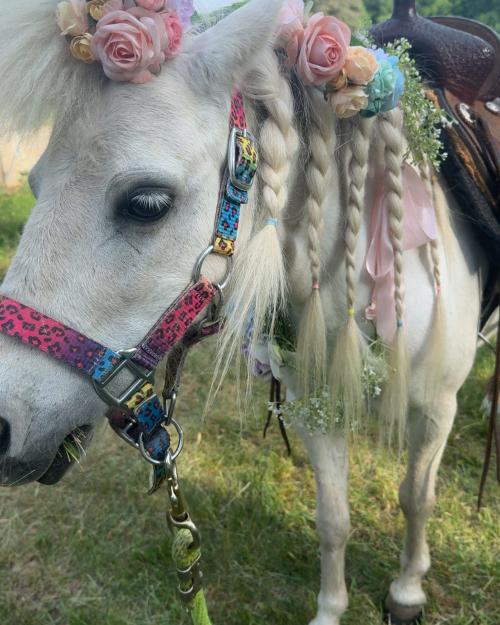 Tinker Bell, a white pony, with her mane braided and woven with pastel flowers.