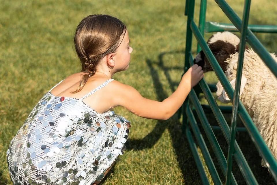 A girl in a sequined dress reaches through a metal fence to pet a sheep.