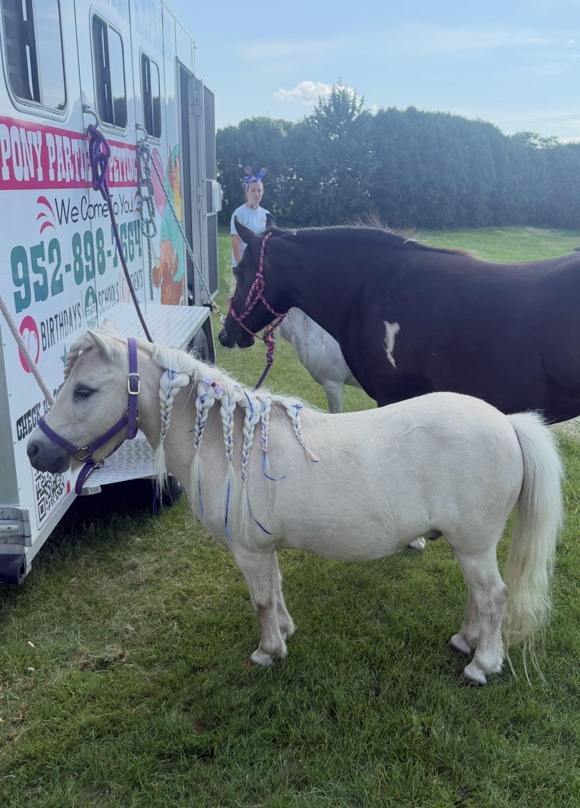 Two ponies, one cream-colored with a braided mane and one black-and-white, stand near the Pony Parties Express trailer with a woman nearby.