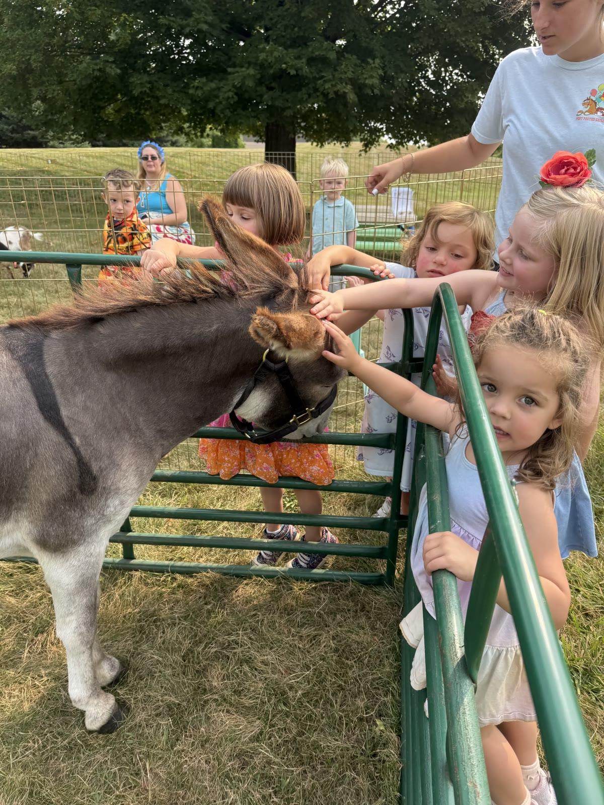 Several children reach over a metal pen fence to pet a donkey while adults and other children look on in a grassy field.