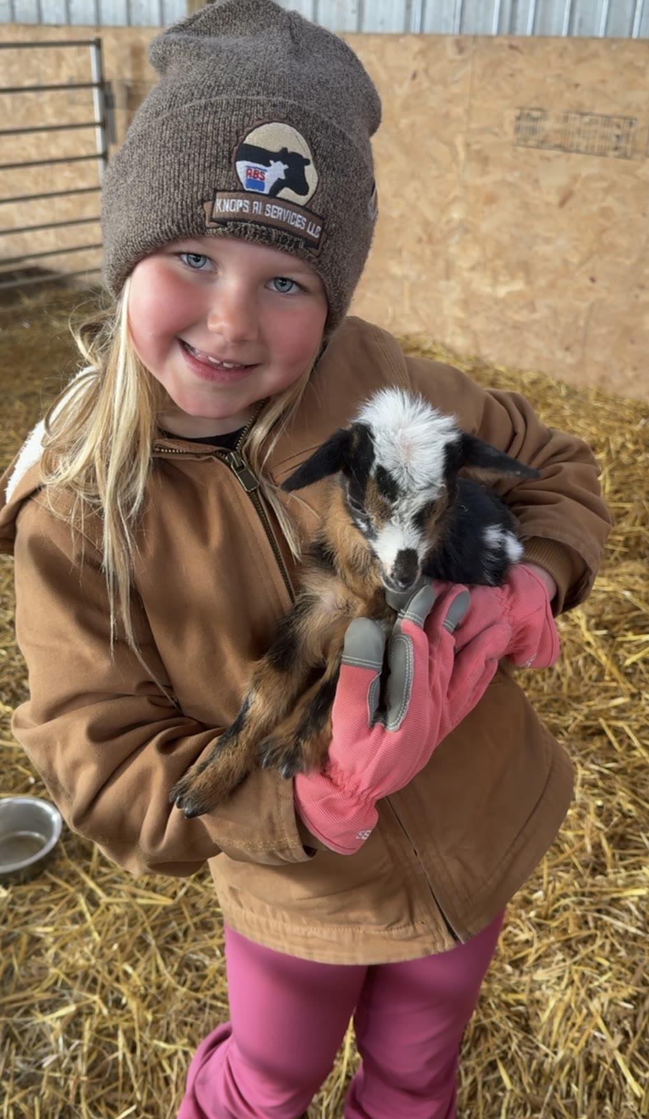 A child wearing a beanie and canvas jacket holds a black, white, and brown baby goat in a barn.
