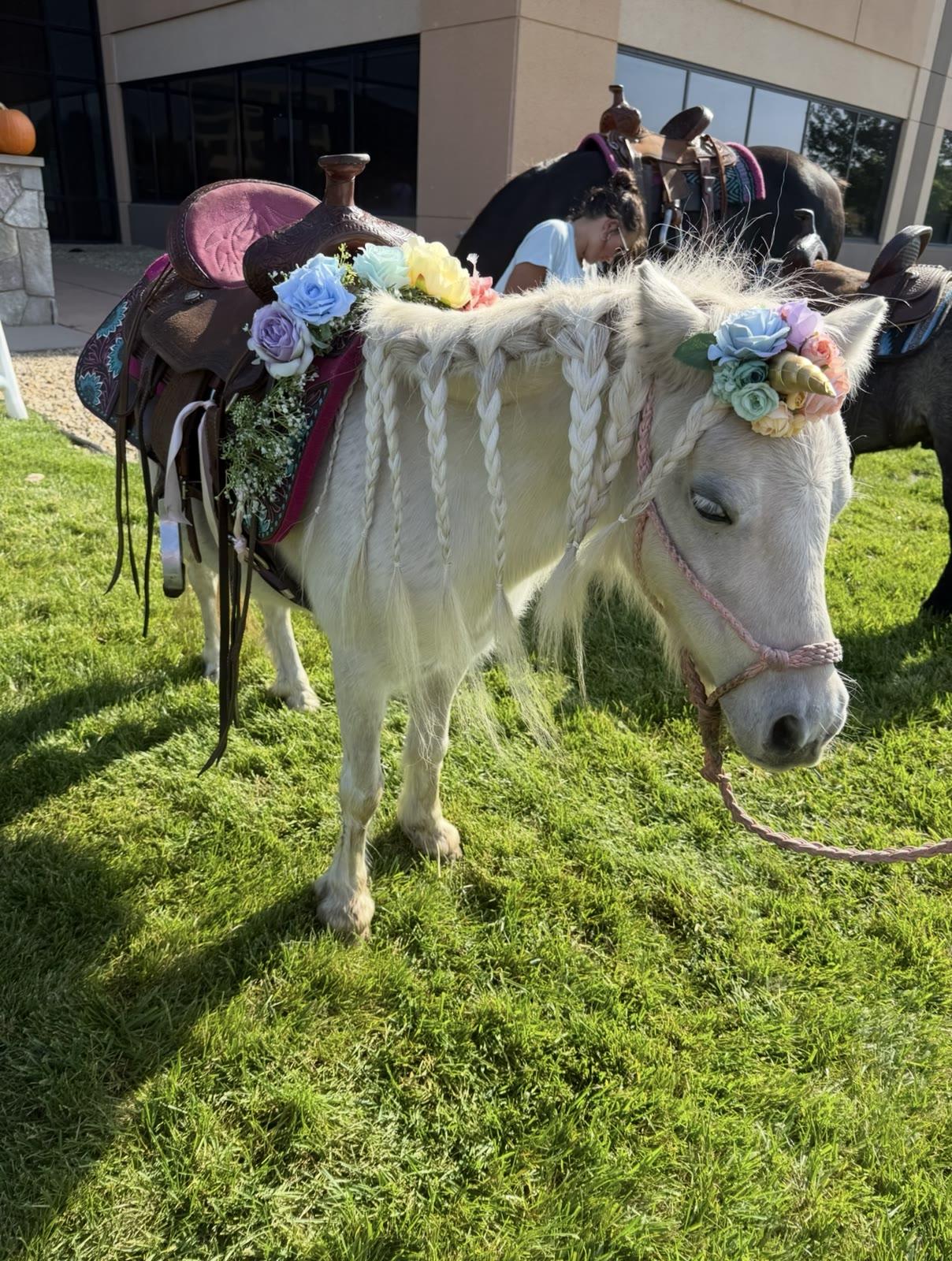 A white pony decorated with a braided mane, flowers, and a unicorn horn stands saddled near a building.