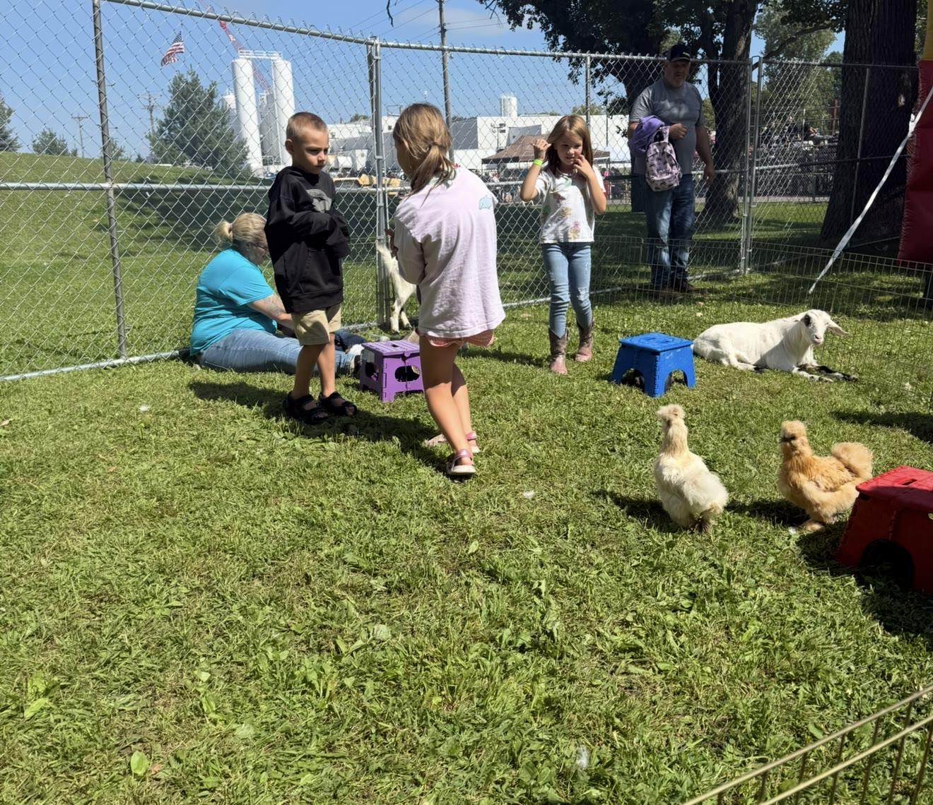 A group of children and adults stand in a fenced pen with chickens and a sheep, industrial buildings visible beyond the fence.