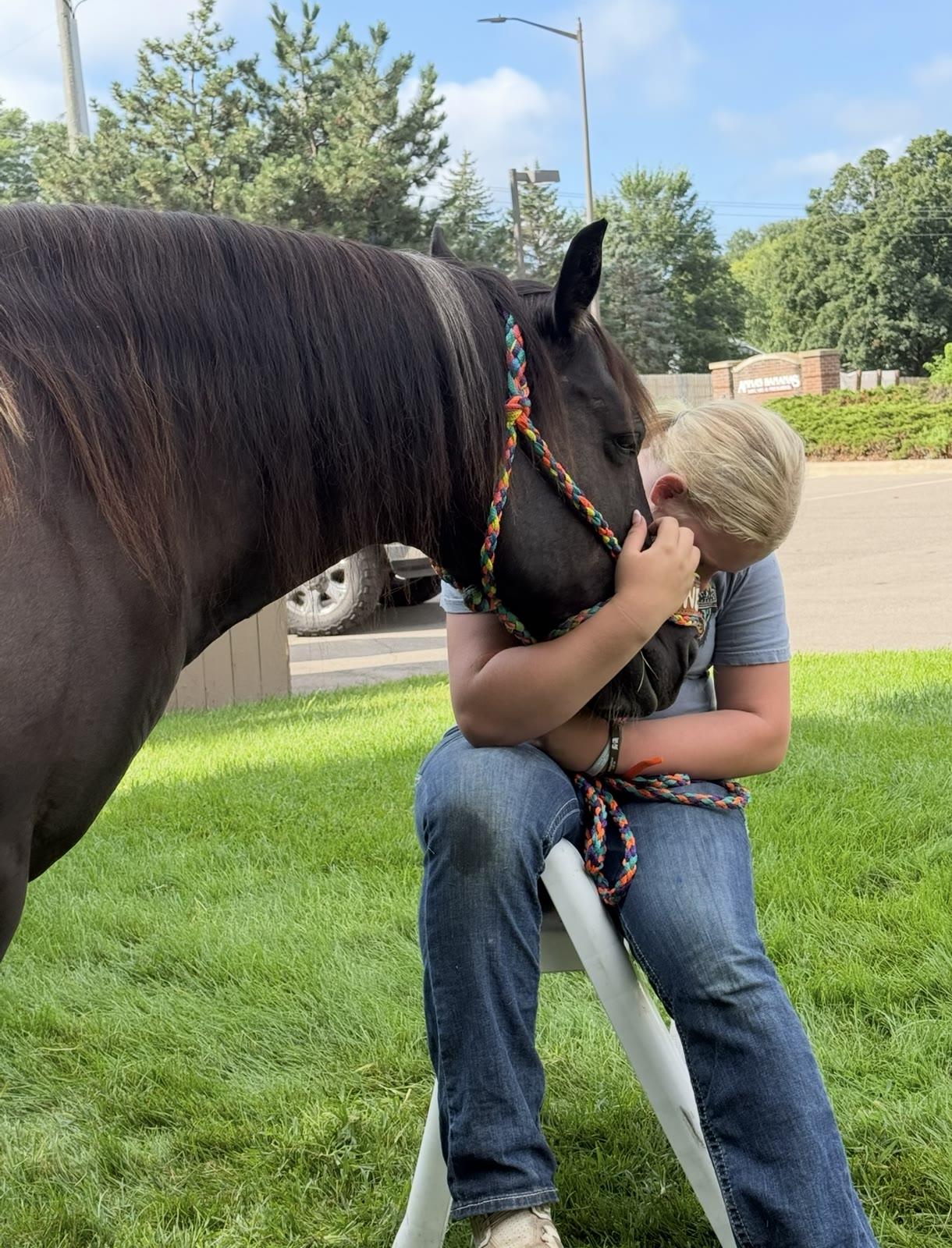A child sitting on a step stool hugs the head of a dark horse in a grassy area near a parking lot and brick sign.
