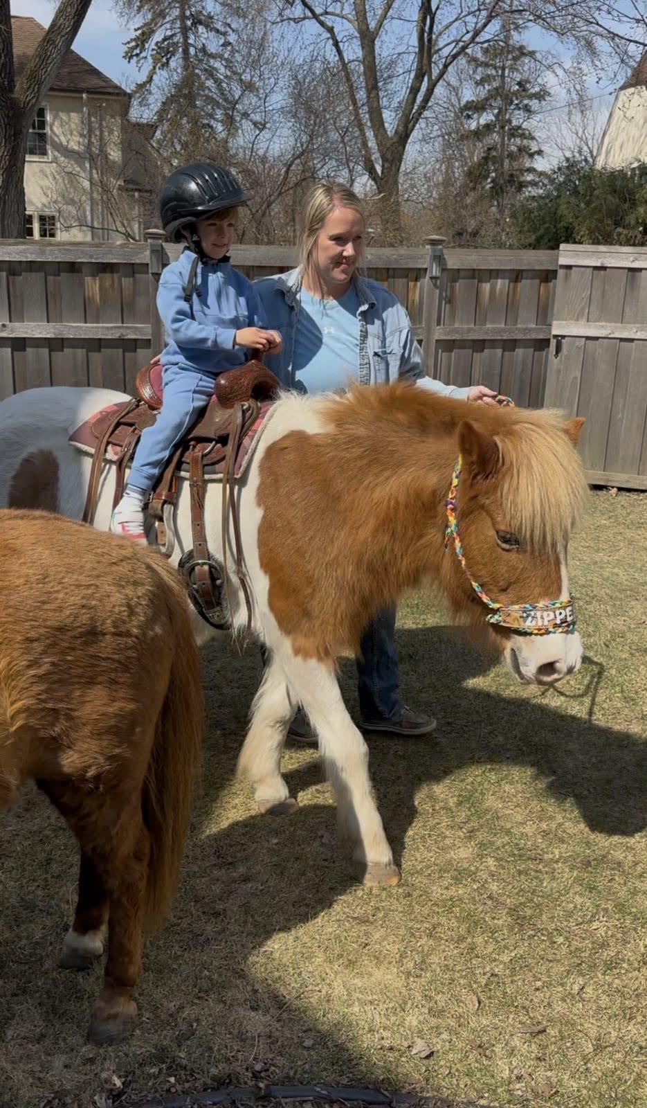 A toddler in a helmet sits on the pony Zipper led by a woman in a backyard, with another pony nearby.