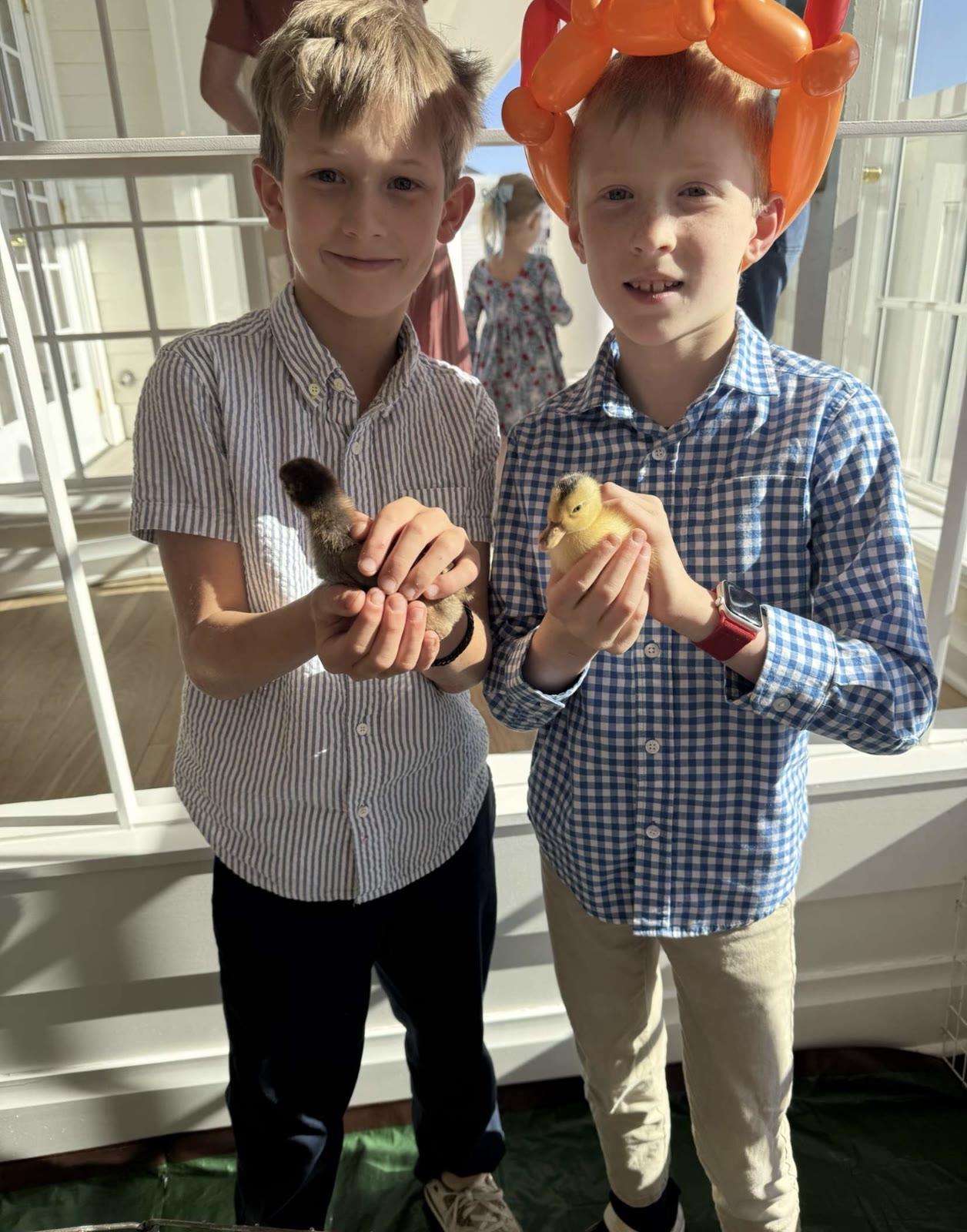 Two boys stand indoors holding a small brown chick and a yellow duckling; one wears an orange balloon-animal party hat.