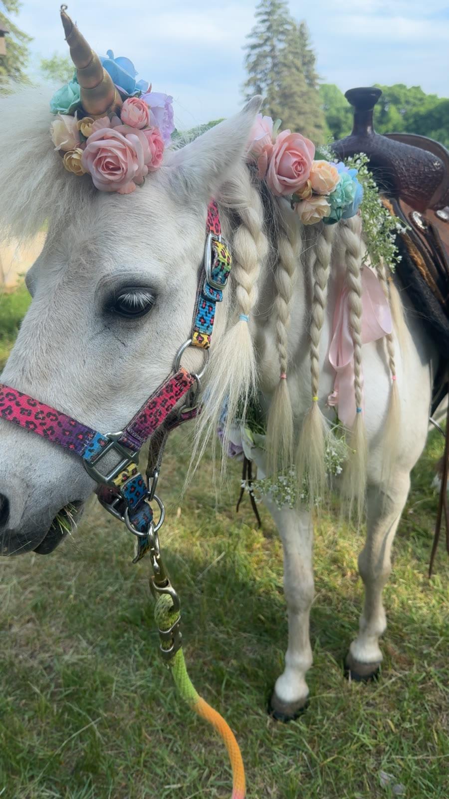 Close-up of a white pony wearing a pastel flower crown and braided mane with ribbons, standing in a grassy field near a saddle.