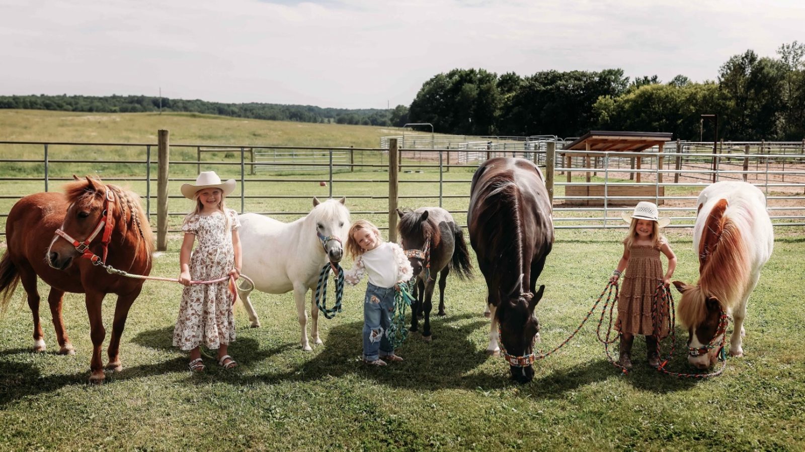 Bam Bam, Tinker Bell, Nellie, Ruger, and Zipper, five Pony Parties Express ponies, standing together in the pasture with young handlers
