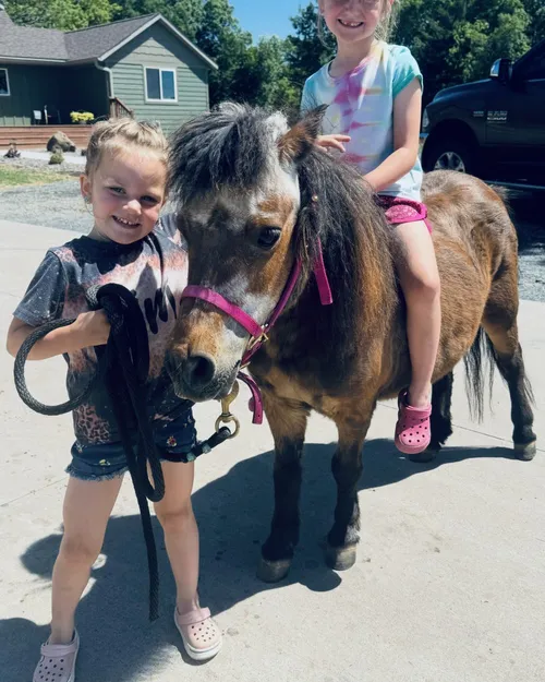 Belle, a brown and white pony, held by one girl while another rides bareback.
